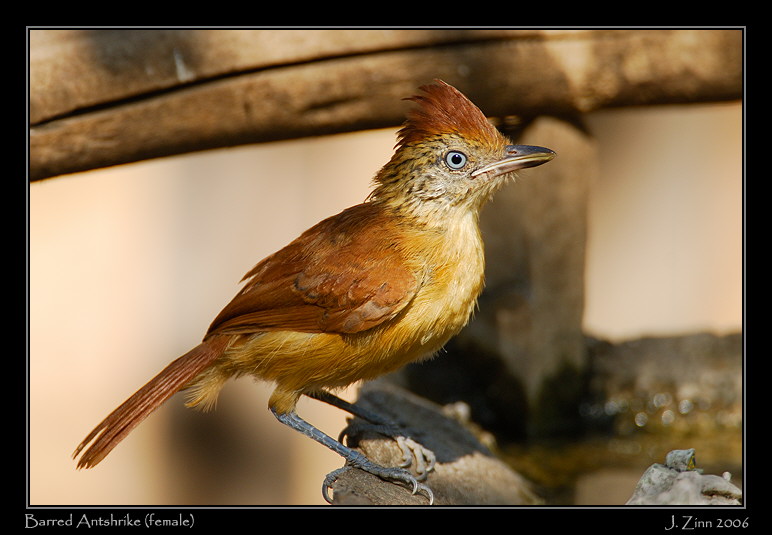baan_7380w