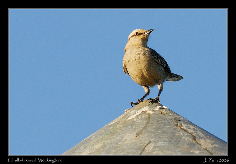 cbmo_7137w2