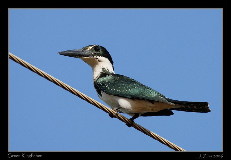 greenking_5627w