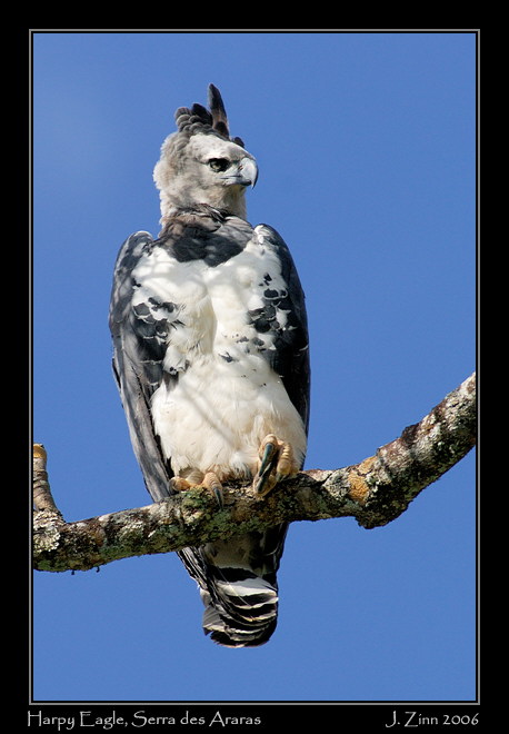 harpy_5130w