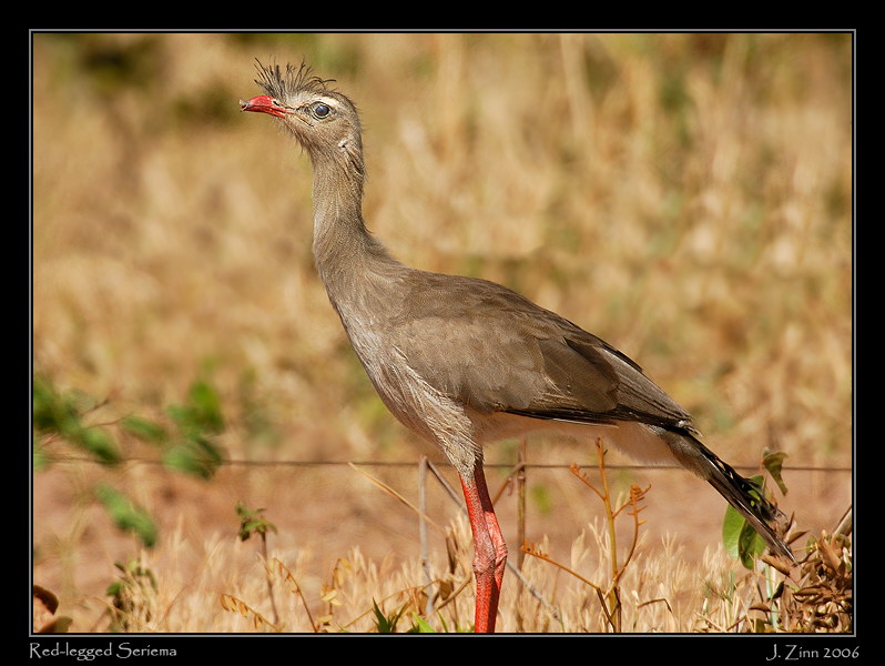 rlse_7153w2