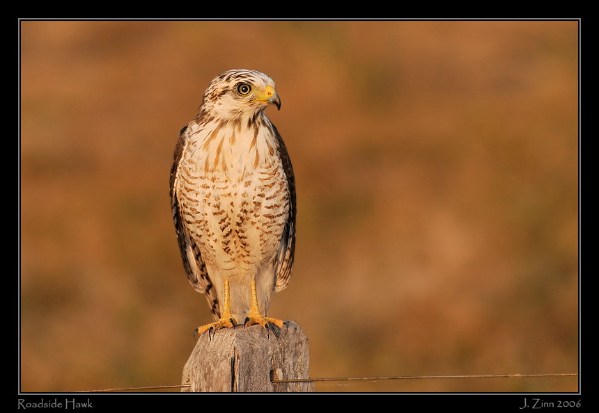 roadside_5339d