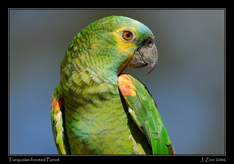 tfpa_7098a