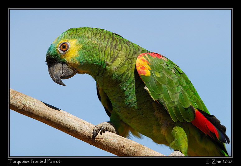 tfpa_7106w