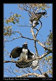  COPYRIGHT JANET ZINN