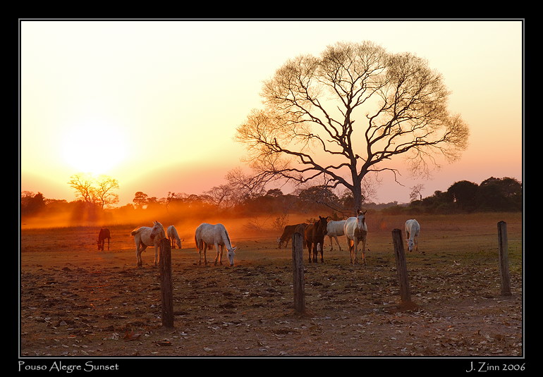 alegresunset_9153b