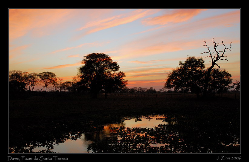dawn_6083w