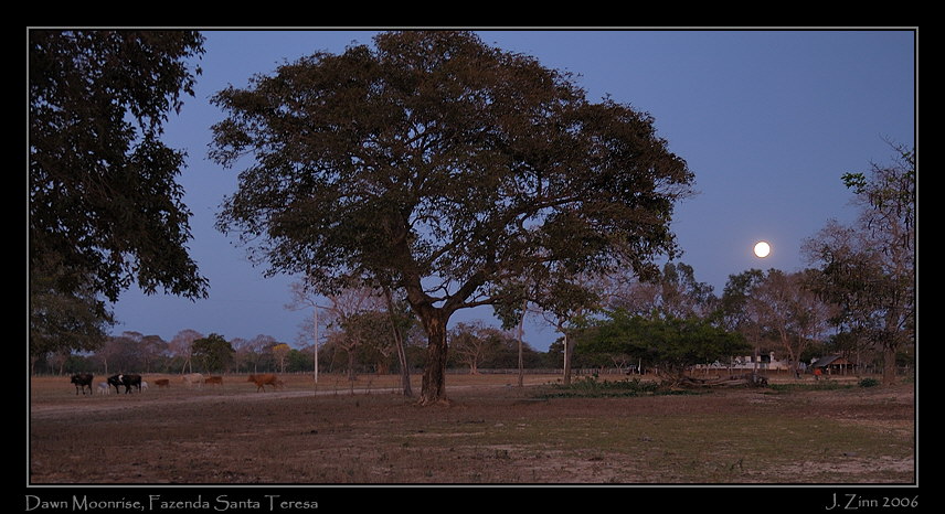 moonrise_9105a