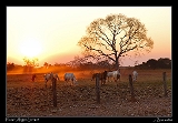  Sunset,  Pouso Alegre Lodge