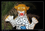  Jaguar Phonebooth, Pocon�