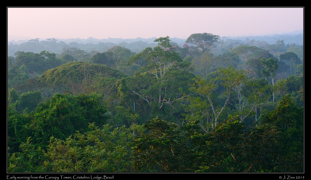 cristalino_dawn_6254a