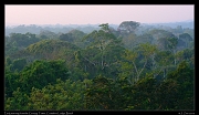  Early morning from the Canopy Tower, Cristalino Lodge, Brazil � Janet Zinn 2015