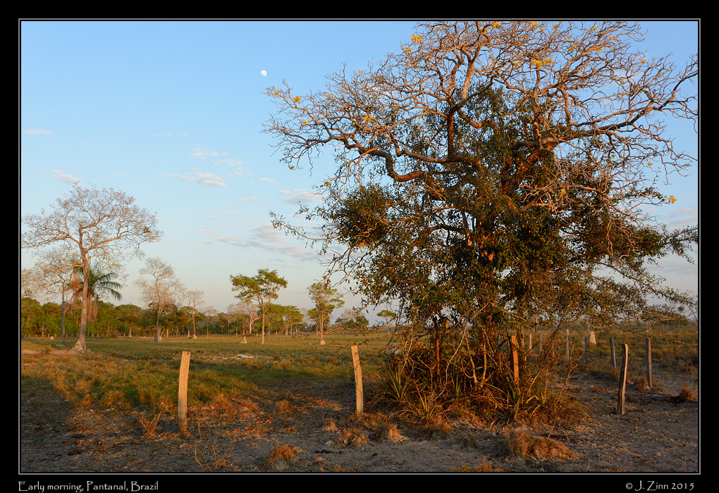 pantanal_6236a
