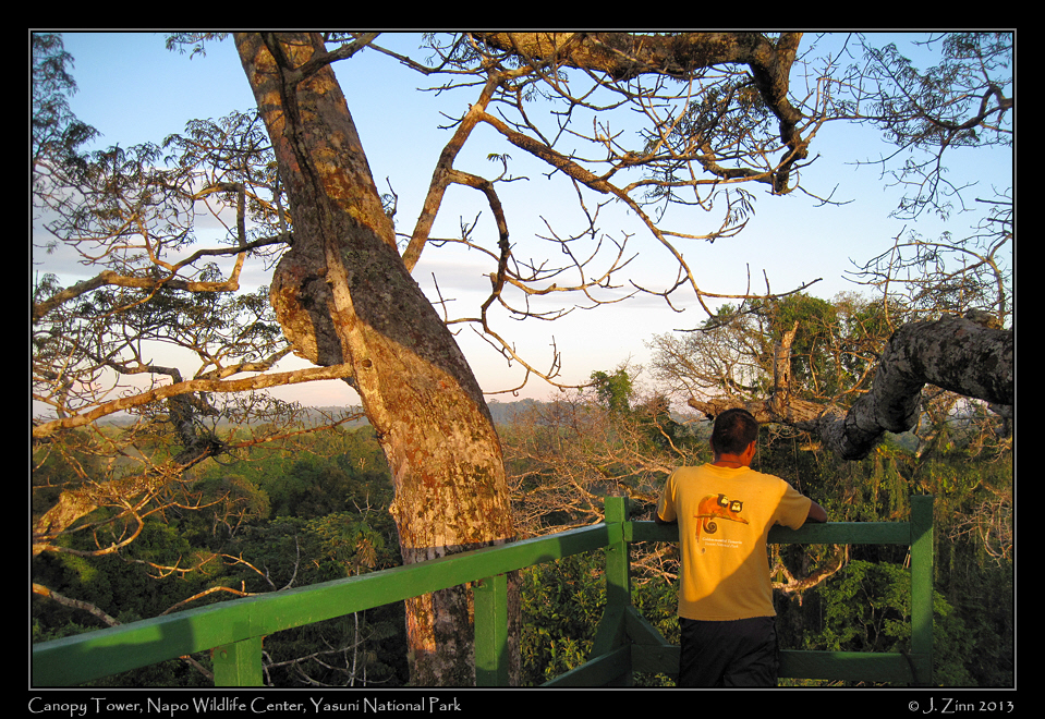 canopy_tower_2245a