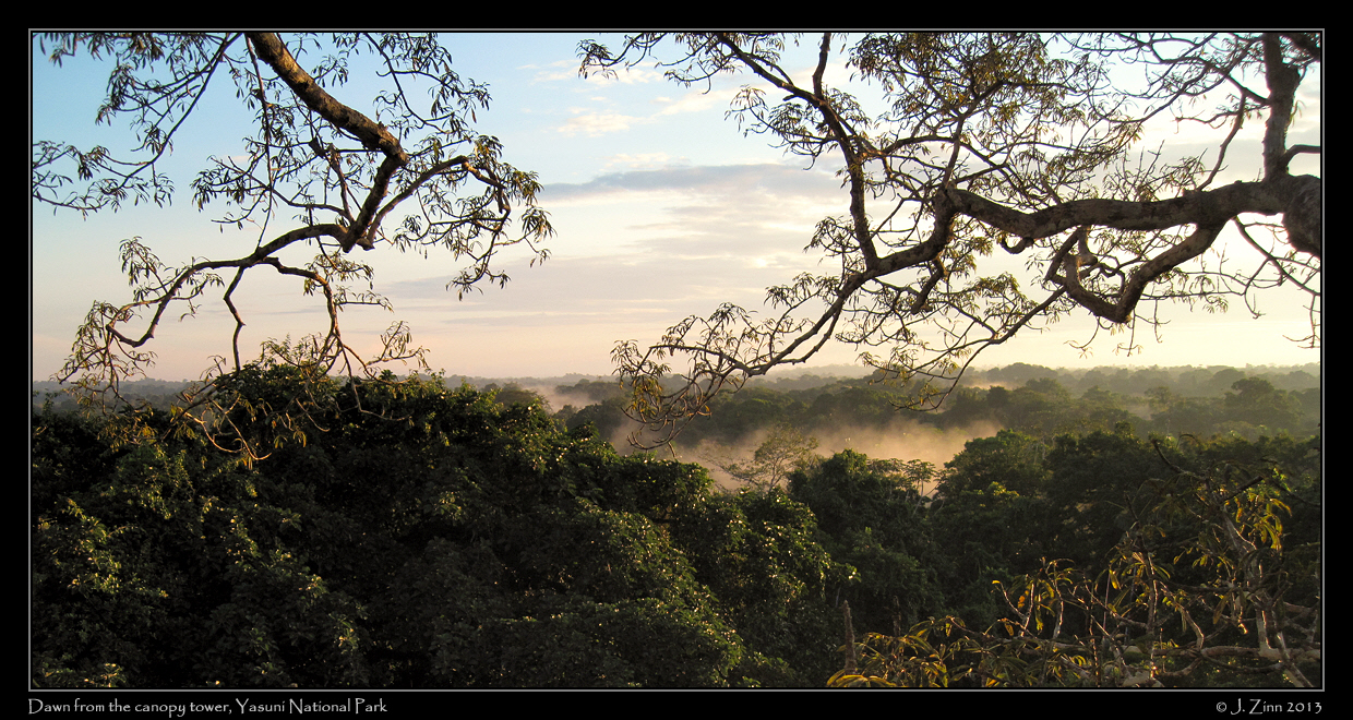 dawn_2249b