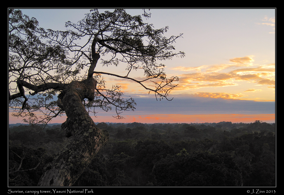 dawn_2256a