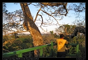  Morning at the canopy tower, Yasuni National Park, Ecuador � Janet Zinn 2013