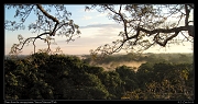  Morning mist from the canopy tower, Yasuni National Park, Ecuador � Janet Zinn 2013