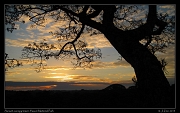  Sunset from the canopy tower, Yasuni National Park, Ecuador � Janet Zinn 2013