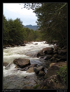  Papallacta River, Guango, Ecuador � Janet Zinn 2013