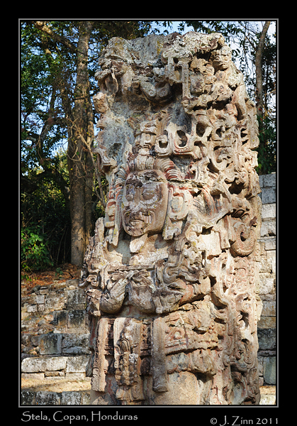 copan__2565a
