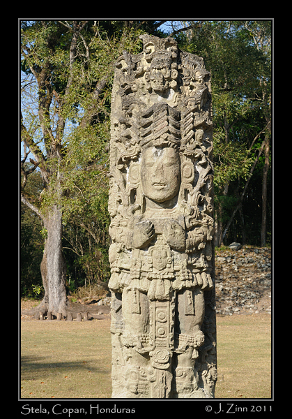 copan__2571a