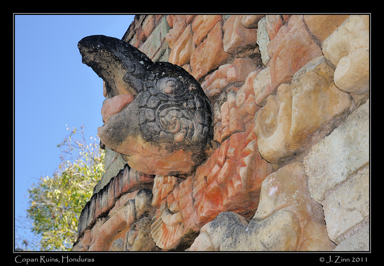 copan__2617a