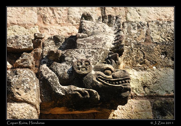 copan__2624a