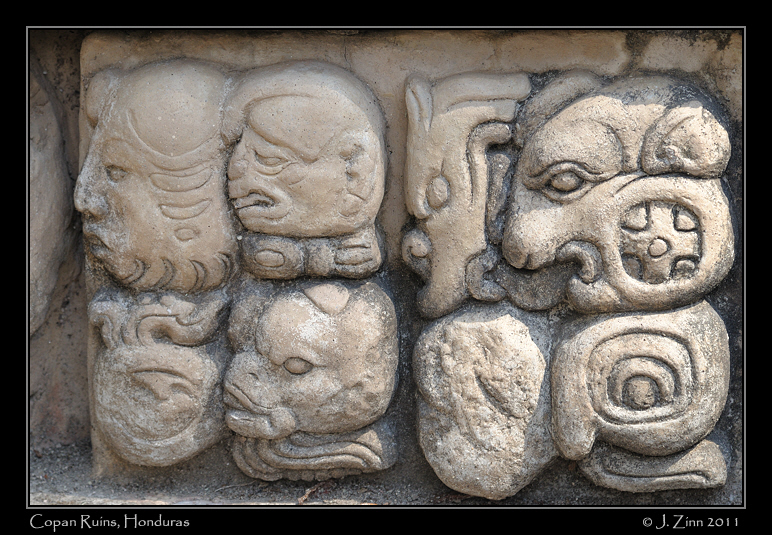 copan__2643a