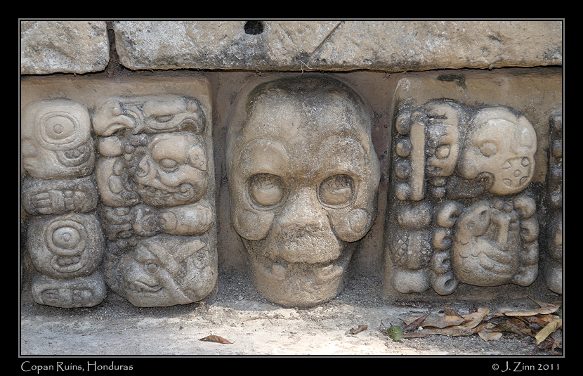copan__2647a