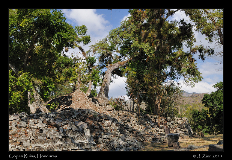 copan__2653a