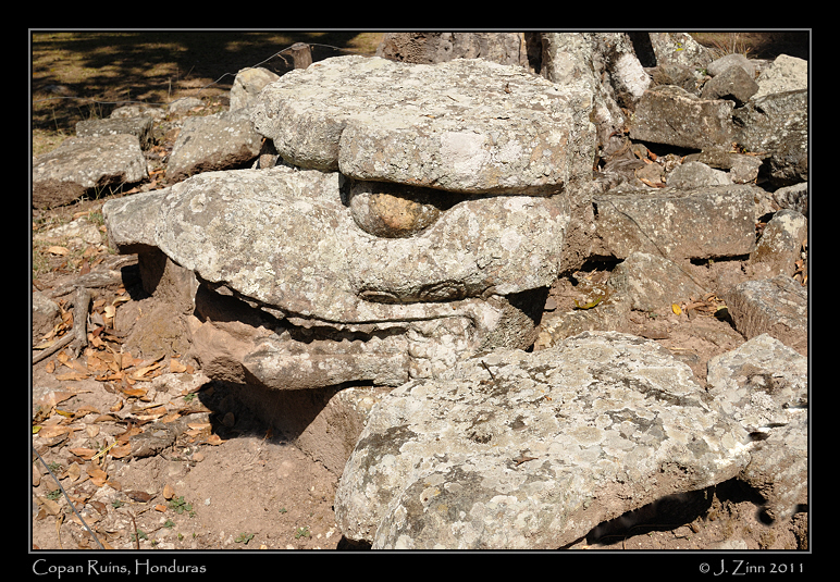 copan__2661a