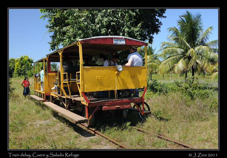 cuero_y_salado_train_2477a