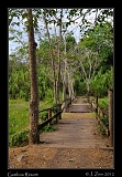  Gamboa Resort, Panama � Janet Zinn 2012