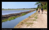  Birding at Juan Hombron rice fields, Panama � Janet Zinn 2012