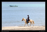  Playa Santa Clara, Panama � Janet Zinn 2012