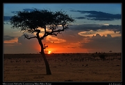  Mara sunset  � J. Zinn