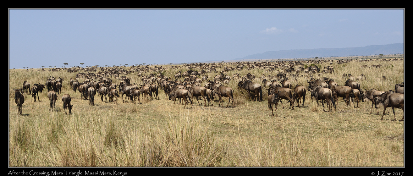crossing_JCZ_0907a