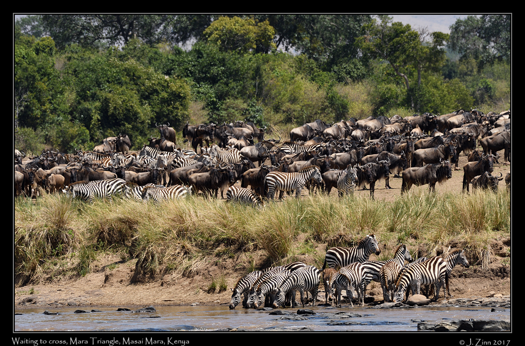 crossing_JZ5_2697a