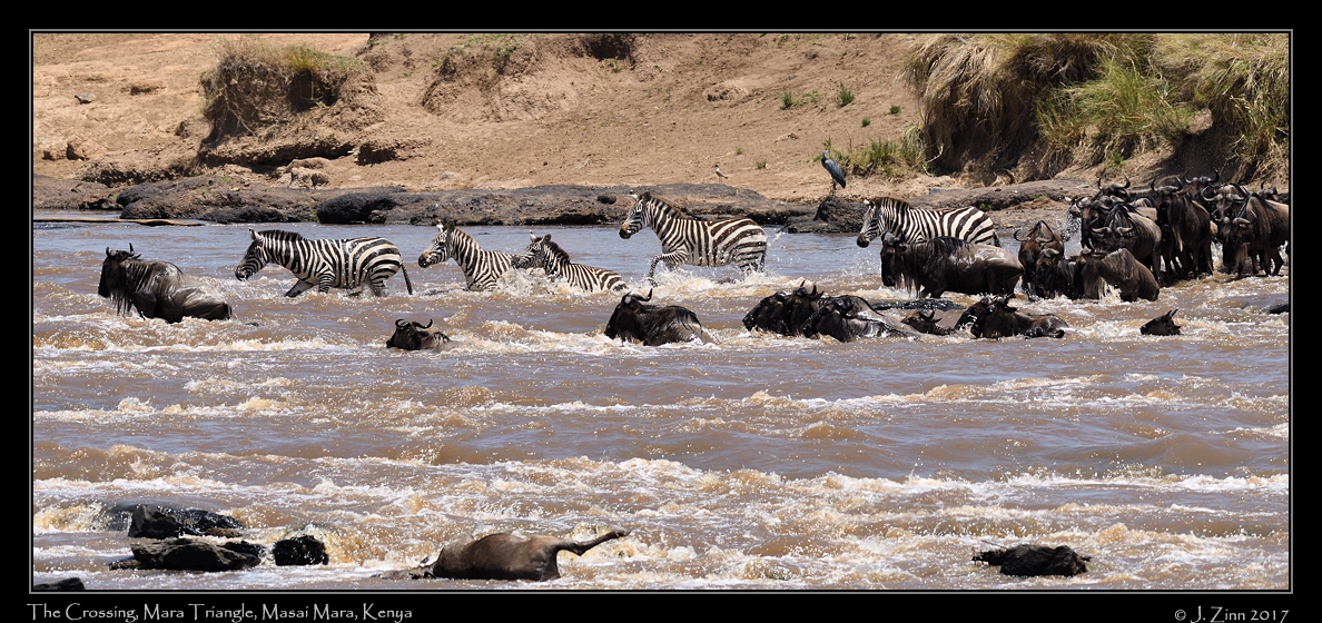 crossing_JZ5_2749b