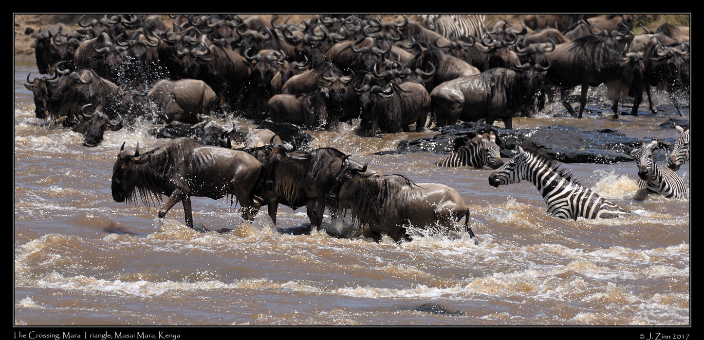 crossing_JZ5_2821a