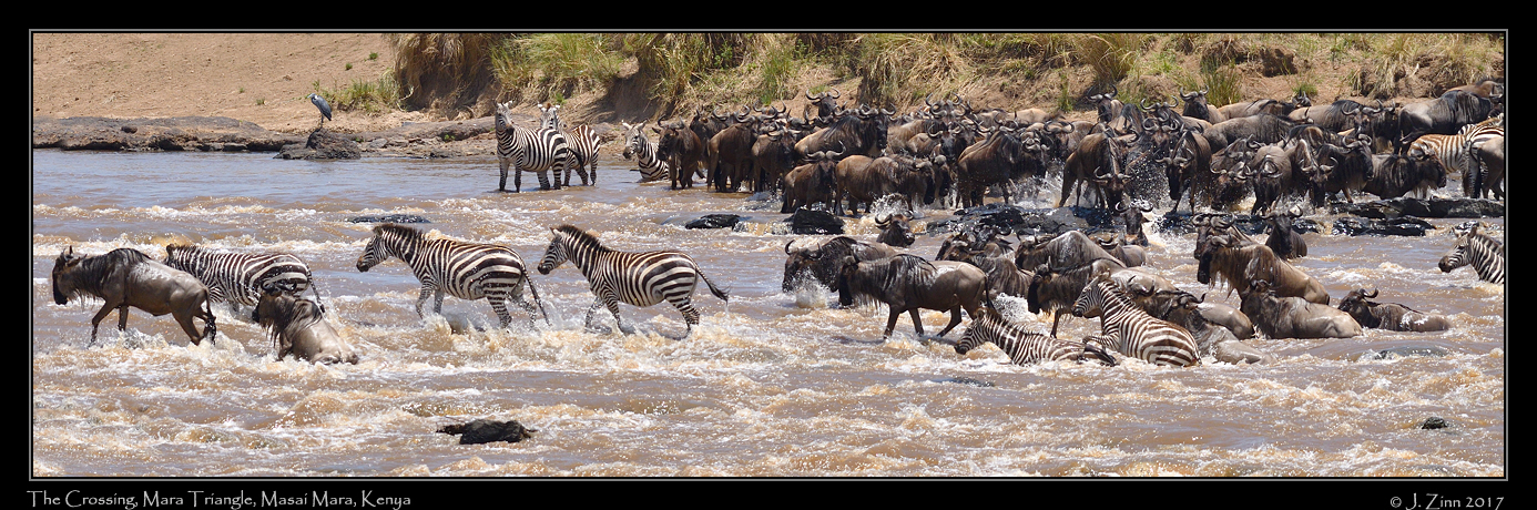 crossing_JZ5_2835_01b
