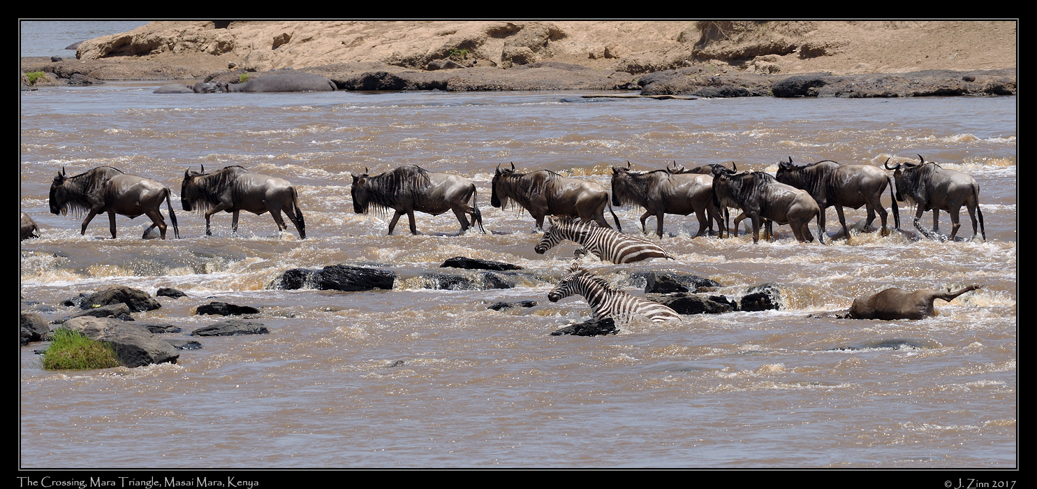 crossing_JZ5_2845a