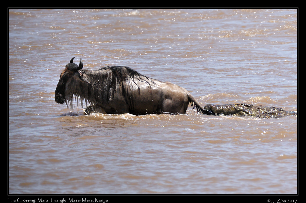 crossing_JZ5_2905a