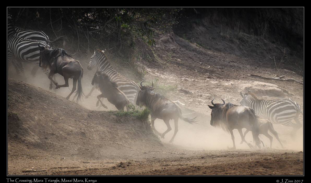 crossing_JZ5_4323_dxo1