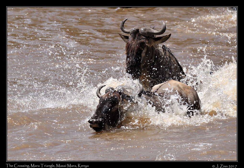 crossing_JZ5_4730a