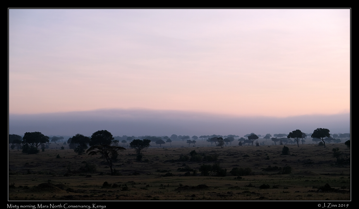 dawn_FUJI1581a
