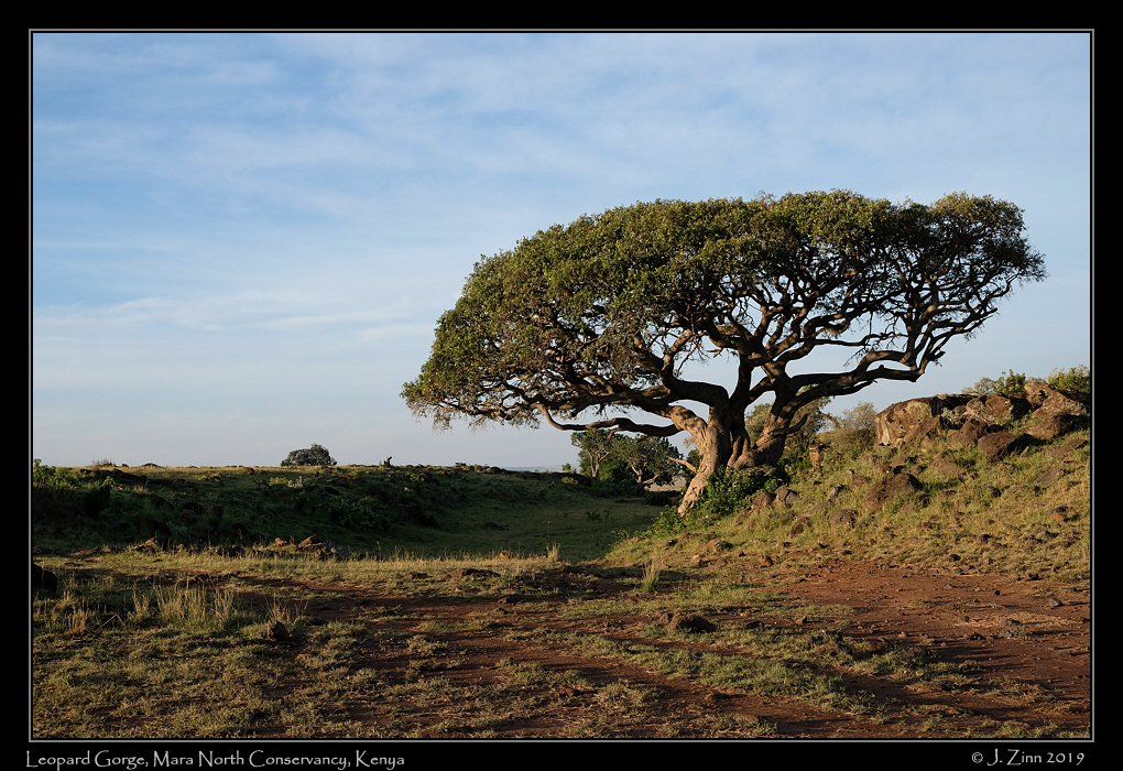 leopard_gorge_FUJI1610a