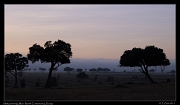  Misty morning, Masai Mara, Kenya � J. Zinn