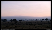  Misty morning, Masai Mara, Kenya � J. Zinn